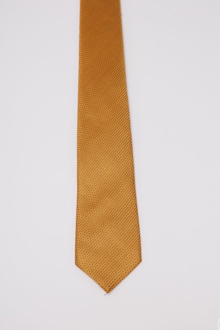 Elegant gold tie